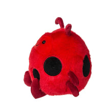 Load image into Gallery viewer, Rolly Lady Bug — 5"