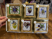 Load image into Gallery viewer, Pressed Flower Handmade Mini Bloom Keepsake Magnet Frame