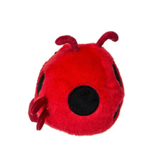 Load image into Gallery viewer, Rolly Lady Bug — 5"
