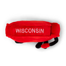 Load image into Gallery viewer, Stuffed States Wisconsin Plush
