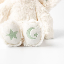 Load image into Gallery viewer, Slumberkins Gift Set
