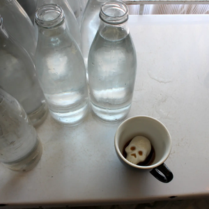Creature Cups